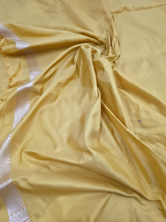Neeta Ambani Masterpiece Banarasi Pure Katan Silk Saree
